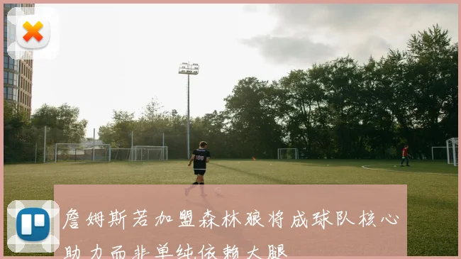 詹姆斯若加盟森林狼将成球队核心助力而非单纯依赖大腿