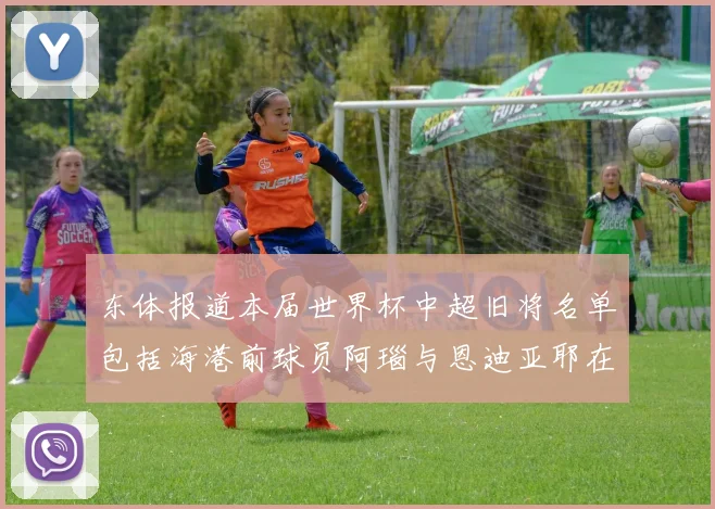东体报道本届世界杯中超旧将名单包括海港前球员阿瑙与恩迪亚耶在内的10位球员