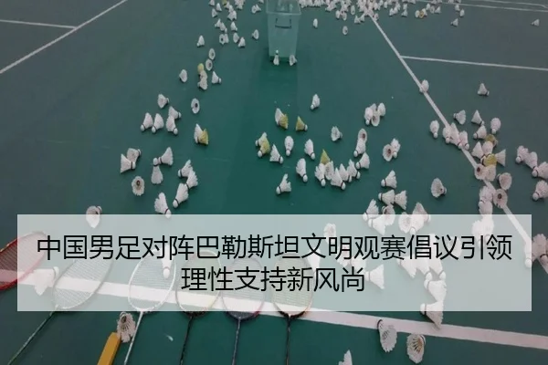 中国男足对阵巴勒斯坦文明观赛倡议引领理性支持新风尚 | BoyuSports